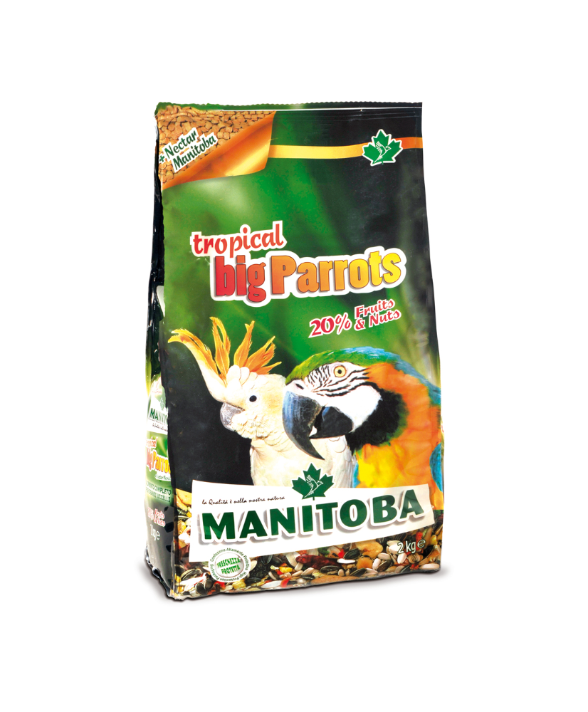 Manitoba tropical big parrots 15kg