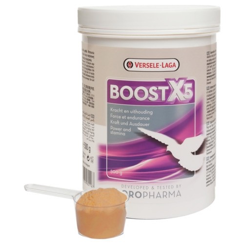 Boost x5 kracht&uithouding 500 g