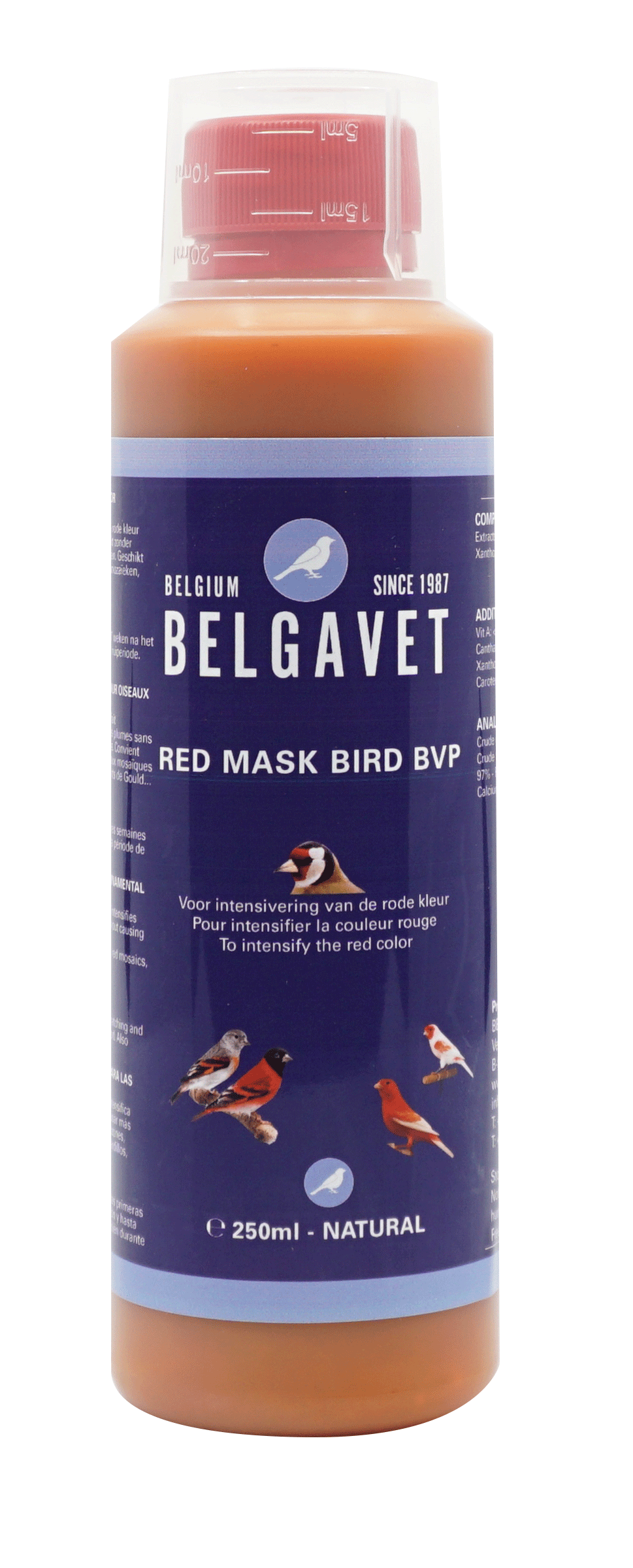 Red Mask BVP