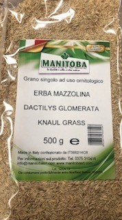 Knaul grass Manitoba (3684/S)