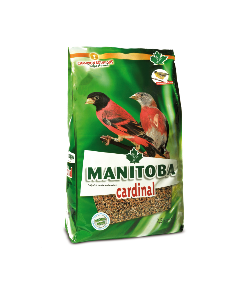 Cardinal Manitoba (Amerikaanse sijzen) (26008)
