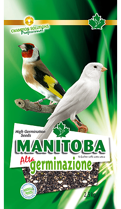 Kiemzaad Manitoba(26070/2)