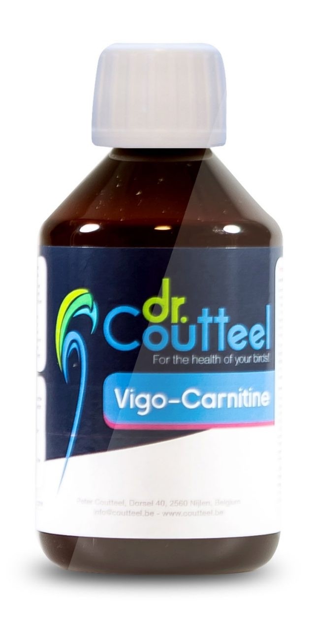 Vigo-Carnitine 250ml dr. Coutteel
