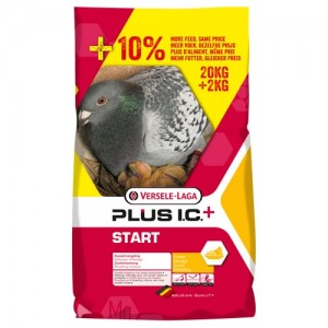 Start Plus IC Promo 20+2 kg