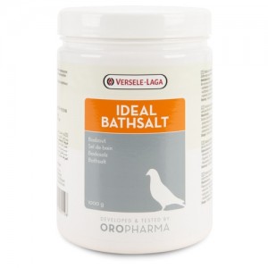 Ideal bathsalt badzout 1 kg
