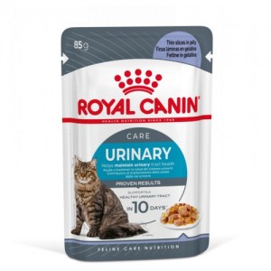 ROYAL CANIN FCN Urinary Care in Jelly