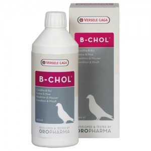 B-chol levertonicum 500 ml