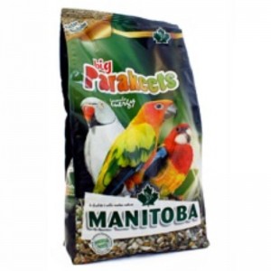 Big Parakeets Energy Manitoba