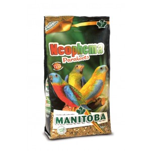 Neophema Parakeets Manitoba