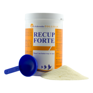 Recup Forte 300 g